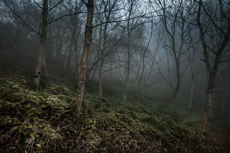 Black Forest, Germany